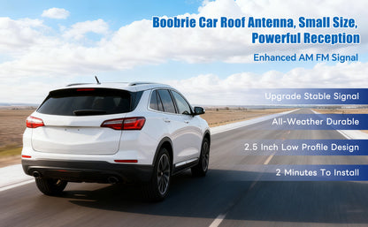 Boobrie Short Car Antenna Rubber 2.5 Inch Mini AM/FM/DBA Radio Antenna Replacement Car Roof-Mounted Flexible Rubber Antennas with M4 M5 M6 Thread Adapters